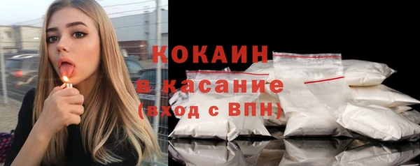 дмт Протвино