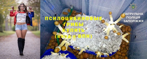 ешки Алексин