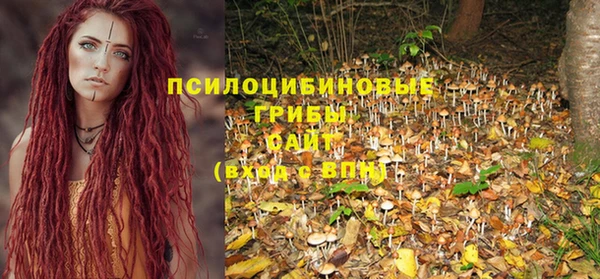 индика Приозерск